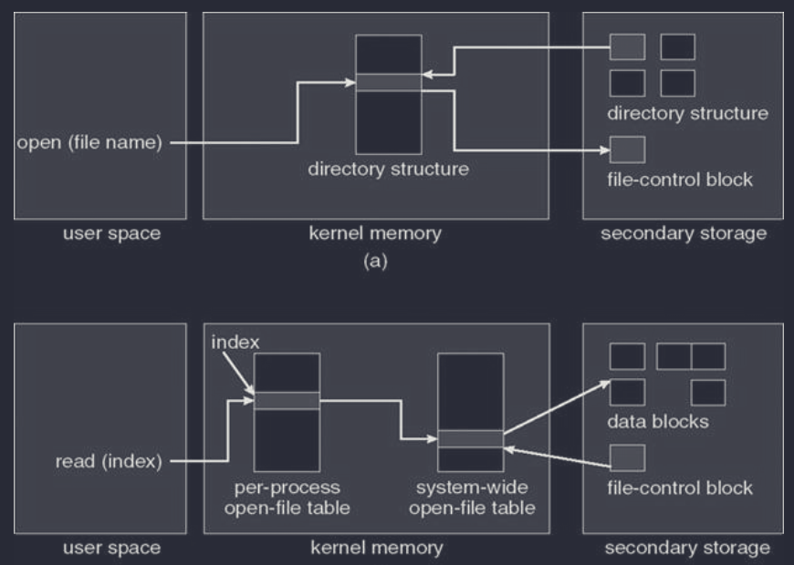 opening & reading a file